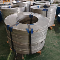 201 Stainless Steel Strip