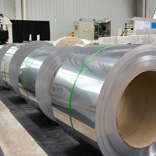 What are the available forms and dimensions of 304L stainless steel strips?