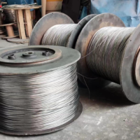 316 Stainless Steel Wire