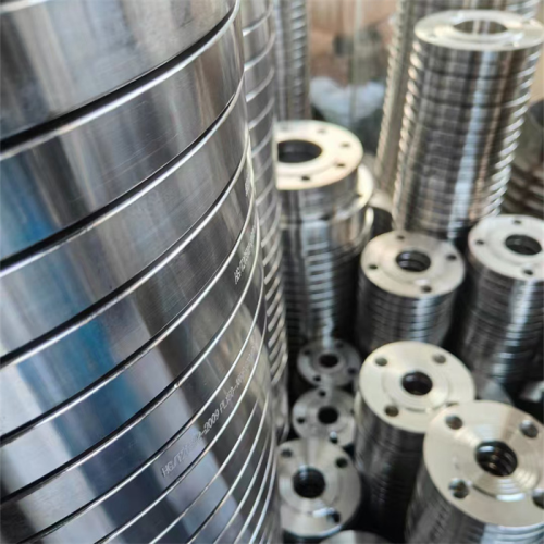 304 Stainless Steel Forgings (1)